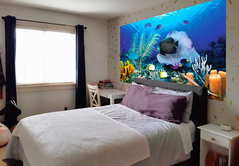 Kid's Room Transformed by Wall Mural